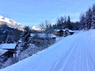 LE CHALET DES LOUPS